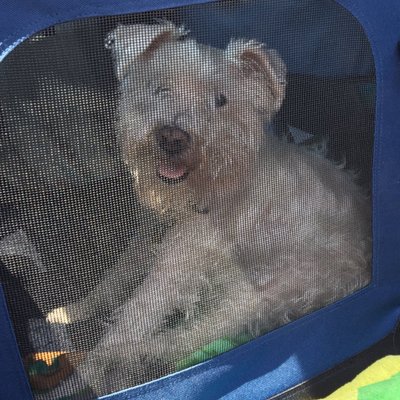 Profile Picture of Min Tuttle (@SilverMax92) on Twitter