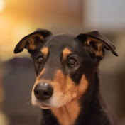 Paula Salisbury - Youtube Profile Picture of Paula Salisbury (@paulasalisbury2298) on Youtube