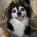 Profile Picture of Sue Koch (@sue.koch.3152) on Facebook