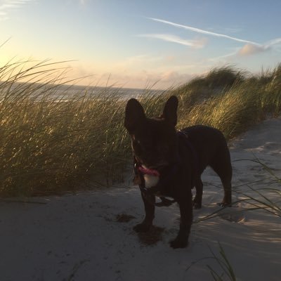 Jonathan Haag - Twitter Profile Picture of Jonathan Haag (@JonathanHaag13) on Twitter