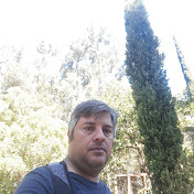 Profile Picture of Fariborz Soroushi (@fariborzsoroushi8168) on Youtube