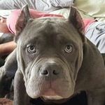 Profile Picture of Kit Hesser (@hesserkit) on Instagram