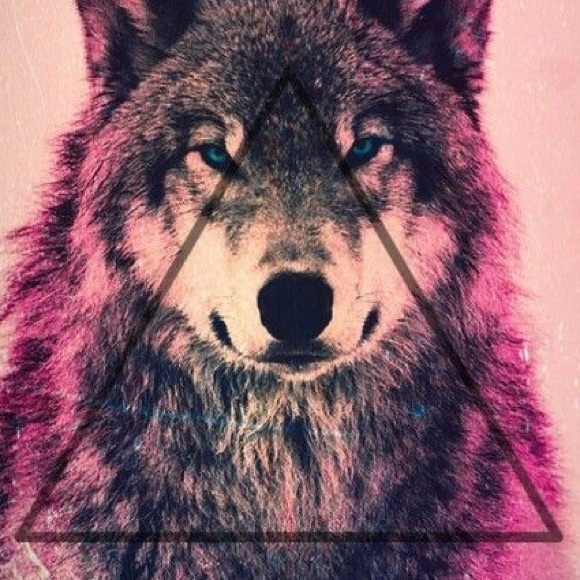 Profile Picture of Medeana Dixon (@deana6200) on Poshmark