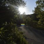 Profile Picture of Colin Lambert (@colinlambert.slr) on Instagram