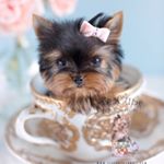 Profile Picture of Emma Grace Clamp (@emmaclamp25) on Instagram