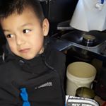 Profile Picture of Nestor Cuevas (@nestor.cuevas.7528) on Instagram
