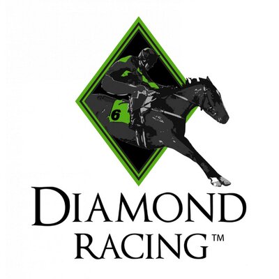 Profile Picture of Diamond Racing (@DiamondRacing) on Twitter