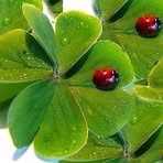 Profile Picture of Benjamin Stifter (@benjamin.stifter.7) on Facebook