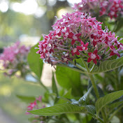 Profile Picture of April Freeman (@aprilfreeman33) on Youtube