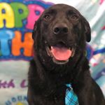 Profile Picture of Sheldon (@sheldonklein99) on Instagram