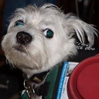 Robert Sokolowski - Quora Profile Picture of Robert Sokolowski (@robert-sokolowski) on Quora