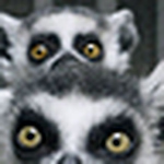 Profile Picture of Al Ex (@al@ex) on Flickr