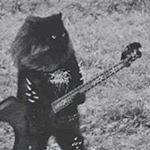 Profile Picture of Robin Quintre (@robinlavey) on Instagram