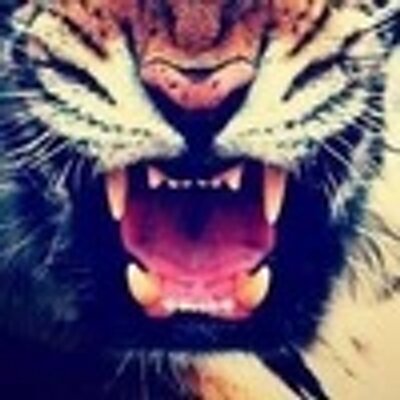 Profile Picture of Priscilla Joseph (@boyd_priscilla) on Twitter