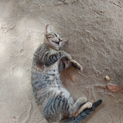 Profile Picture of Ohnmar Myint Ohnmar (@ohnmarmyintohnmar4873) on Youtube