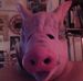 Profile Picture of Peter Hunstiger (@peter.hunstiger.96) on Facebook