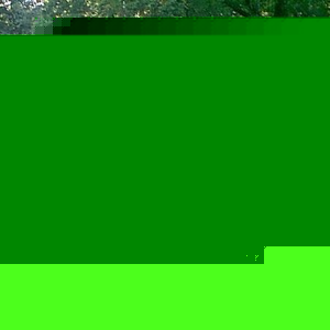 Profile Picture of Sherman Fitch Ii (@386399013) on Myspace