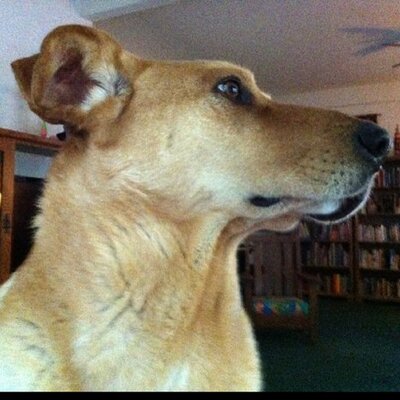 Profile Picture of Dan Frizzell (@danfrizzell) on Twitter