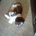 Profile Picture of Kathi Foster (@kathi.foster.581) on Facebook