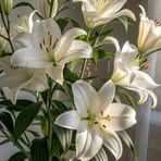 Profile Picture of Bích Nguyễn (@Bích-Nguyễn) on Facebook