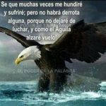 Profile Picture of tania Adames (@tania190671) on Instagram