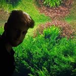 Profile Picture of Nicholas Anthony Mazzei (@nick_natureview) on Instagram