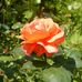 Profile Picture of Addison McGraw (@addison.mcgraw.737) on Facebook