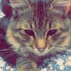 Profile Picture of Mona Hoff (@@monahoff) on Tiktok