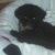 Profile Picture of David Winebrenner (@davidwine3) on Pinterest