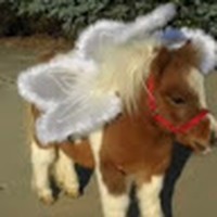 Profile Picture of Emily Romain (@emily-romain-3) on Quora