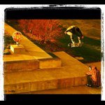 Profile Picture of Rob Abrahamson (@fernchampion) on Instagram