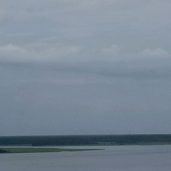 Profile Picture of Brandi Zappone (@brandikkg) on Poshmark