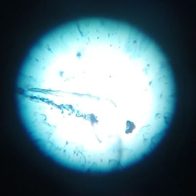 Profile Picture of Francisco Javier Jáuregui Chavira (@JaureguiChavira) on Twitter