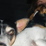 Profile Picture of Janice Neufeld (@Janice-Neufeld) on Facebook