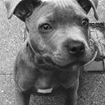 Profile Picture of Joel Deweer (@deweerjoel) on Instagram