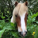 Profile Picture of bobbi manning (@bobbim6) on Instagram