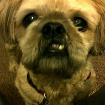 Profile Picture of Teddy Foster (@TeddyFoz) on Twitter