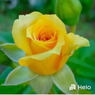 Profile Picture of Chitra C (@chitra.c.1401) on Facebook