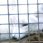 Profile Picture of tori (@country_girl_tori_barlow) on Instagram