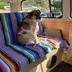 Profile Picture of Jake Millard (@jake_millard) on Instagram