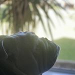 Profile Picture of Γιώργος Αδαμοπουλος (@george.adam_) on Instagram