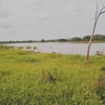 Profile Picture of Jose Veliz (@Jose-Veliz) on Facebook