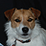 Profile Picture of Tara And Brett (@tara and brett) on Flickr