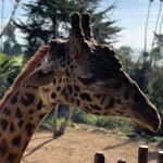 Profile Picture of Matthew Fortune (@mfortune80) on Instagram