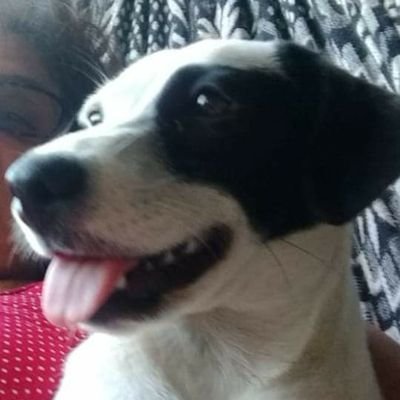 Profile Picture of Dennis Brandão Mélo (@@brandaodemelo07) on Twitter