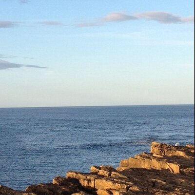 Profile Picture of Paula Loughlin (@MyGirlCarsey) on Twitter