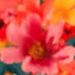 Profile Picture of Bertha Yazzie (@bertha7877) on Pinterest