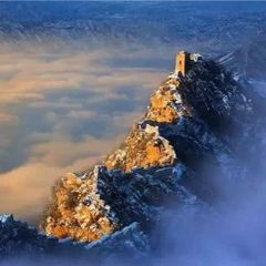 Profile Picture of davidgluing (@davidgluing) on Tiktok