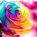 Profile Picture of Dustie Faul (@dustie.faul.7) on Facebook