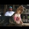 Profile Picture of Kevin Rutherford (@@b51515151) on Tiktok